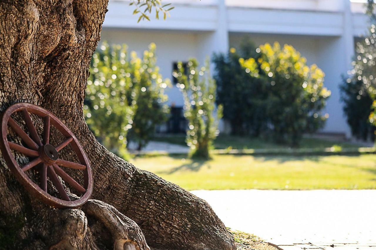 Hotel Eden Carovigno Kültér fotó